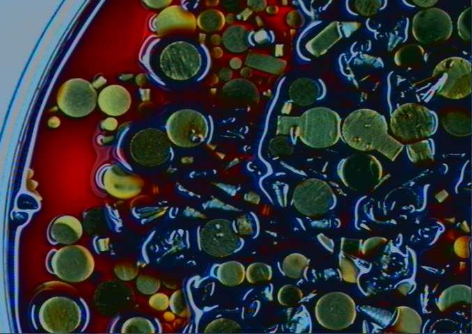 Microscopic image of an aged PAO oil sample showing discolouration and deposits
